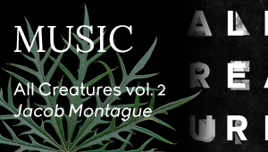 Music - Jacob Montague