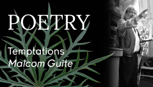 Poetry - Malcom Guite