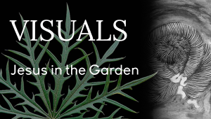 Visual - Jesus in Garden